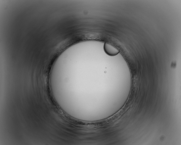 X0000103450741200809121125