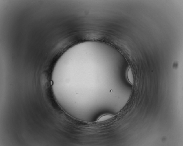 X0000103450743200809121125
