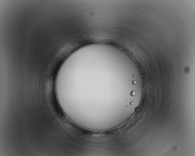 X0000103450744200809121125