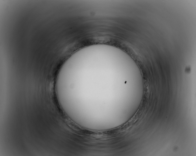 X0000103450745200809121125
