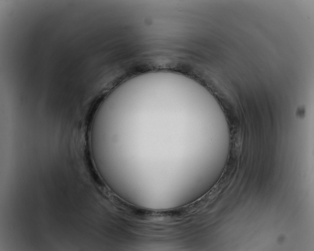 X0000103450746200809121125