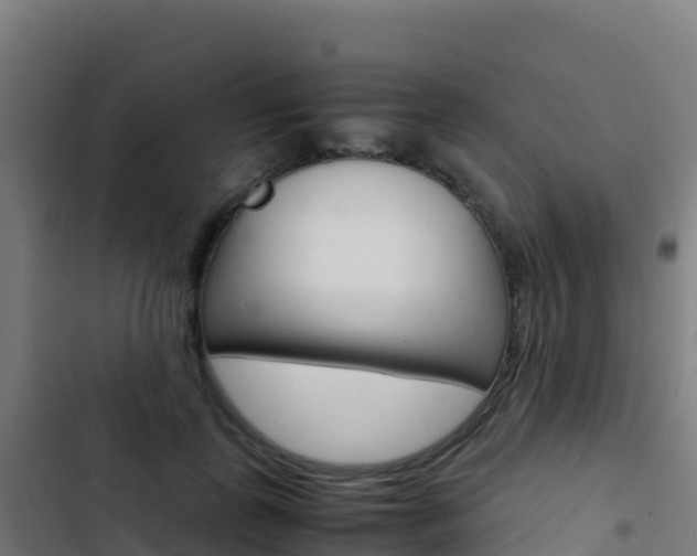 X0000103450747200809121125
