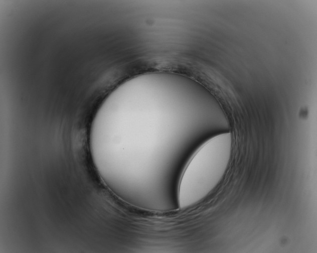 X0000103450748200809121125