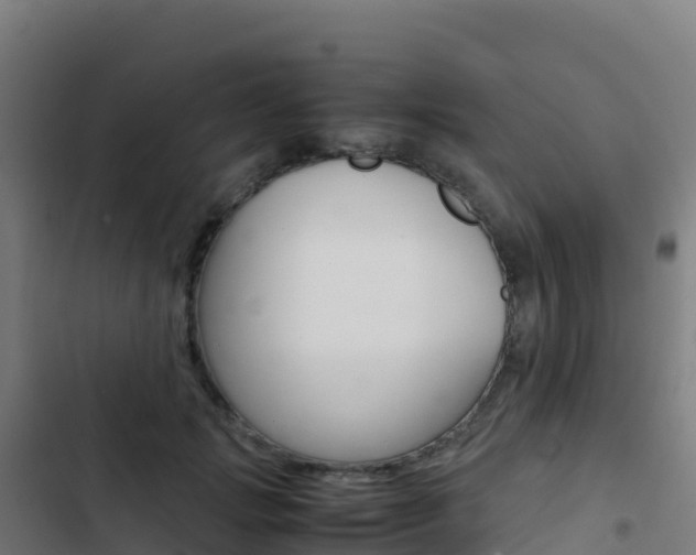 X0000103450749200809121125