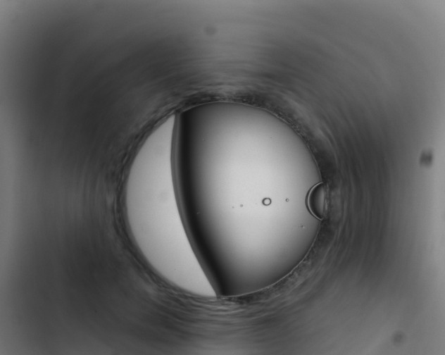 X0000103450750200809121125