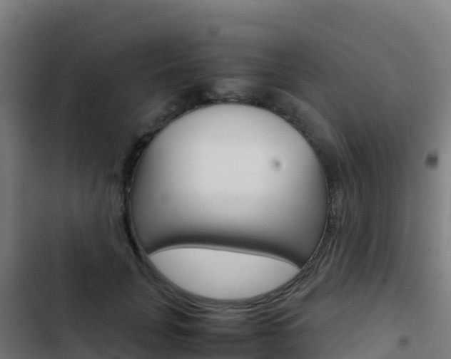 X0000103450751200809121125
