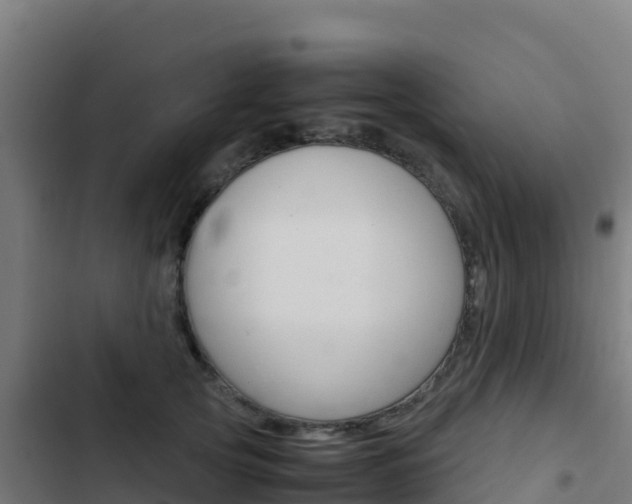 X0000103450753200809121125
