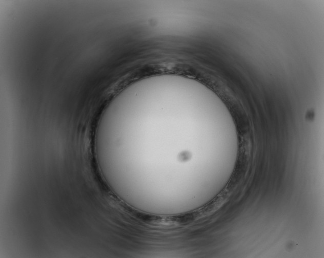 X0000103450754200809121125