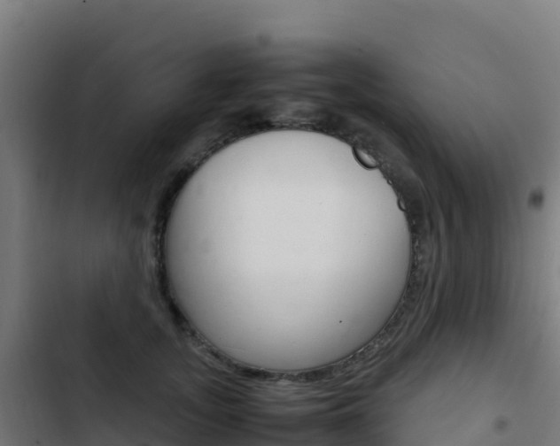 X0000103450755200809121125