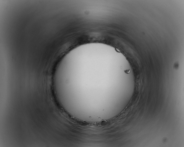 X0000103450756200809121125