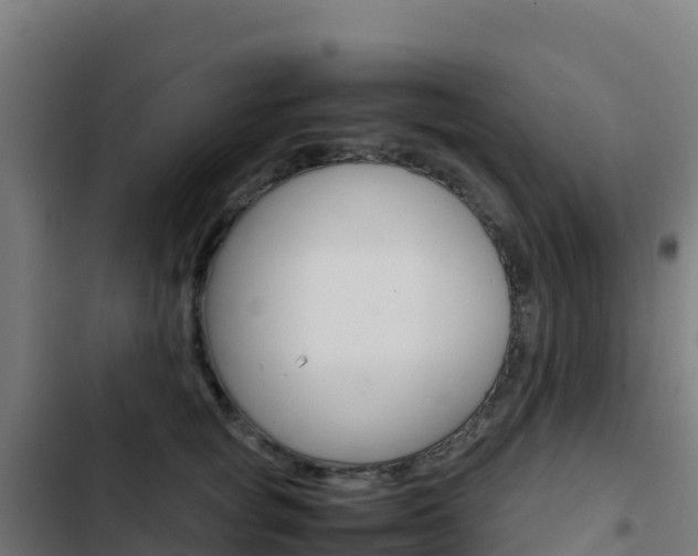 X0000103450757200809121125