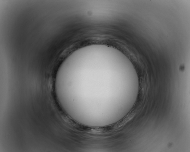 X0000103450758200809121125