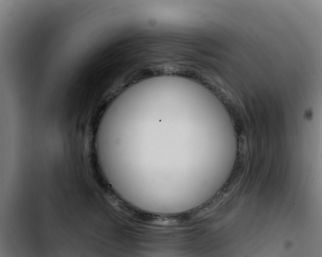 X0000103450760200809121125