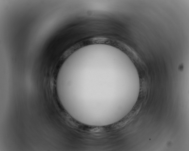 X0000103450761200809121125