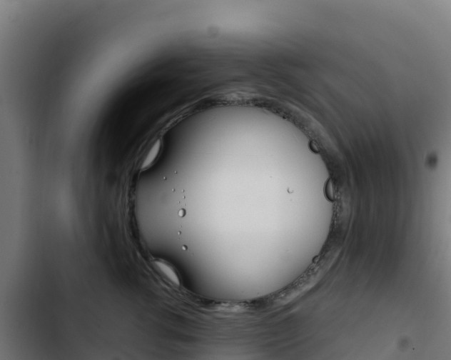 X0000103450762200809121125