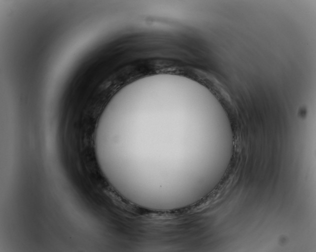 X0000103450763200809121125