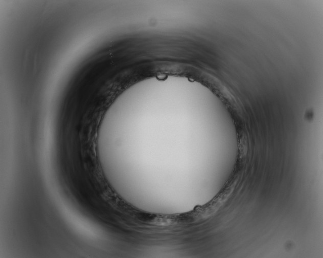 X0000103450764200809121125
