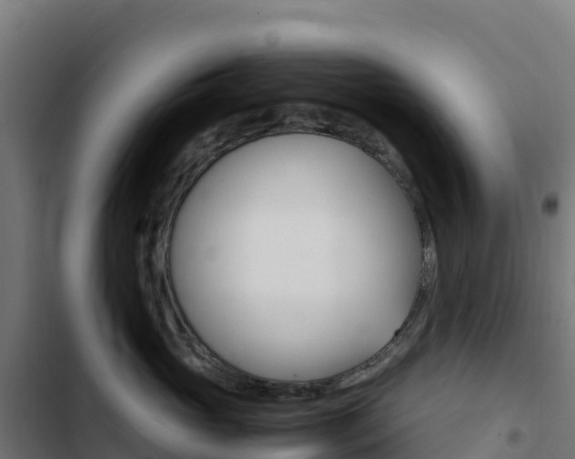 X0000103450765200809121125