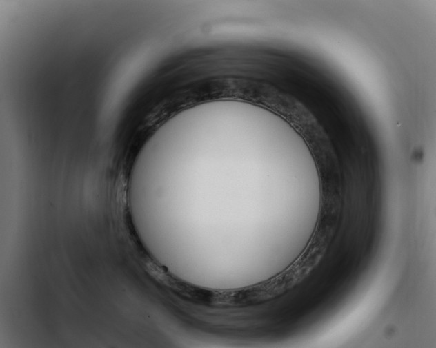 X0000103450766200809121125