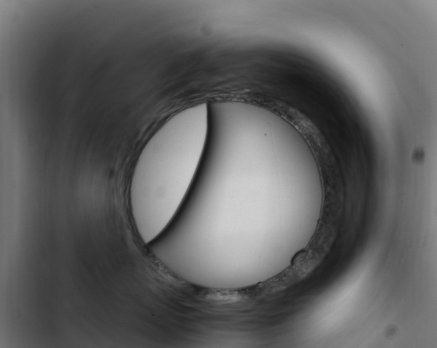 X0000103450767200809121125