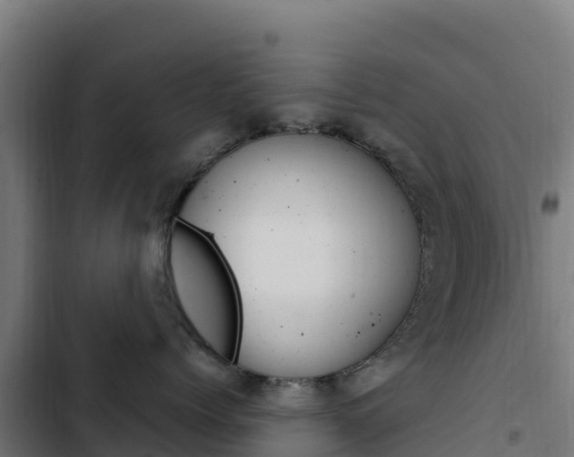 X0000103450768200809121125