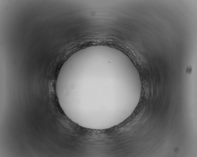 X0000103450770200809121124