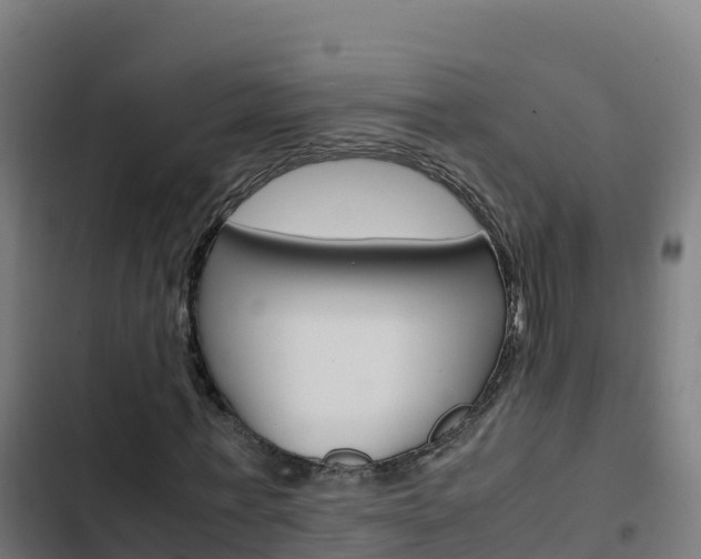 X0000103450771200809121124