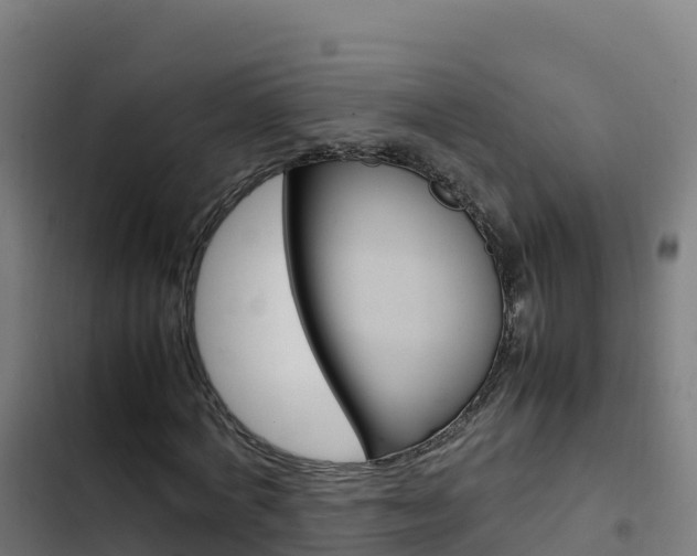 X0000103450772200809121124