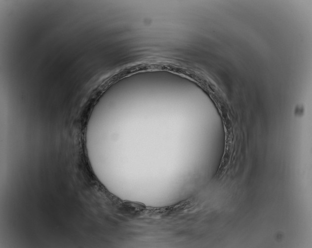 X0000103450773200809121124