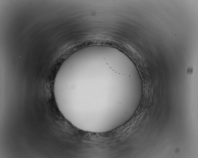X0000103450774200809121124