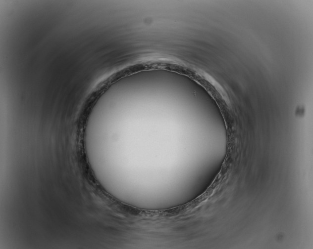 X0000103450775200809121124