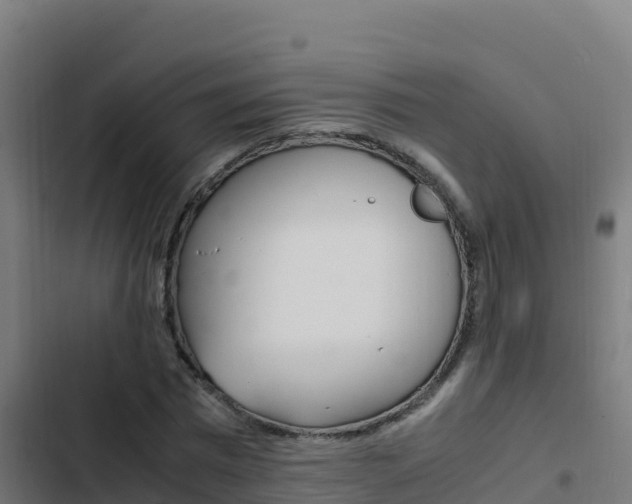 X0000103450777200809121124