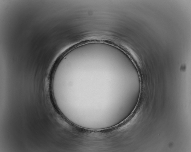 X0000103450779200809121124