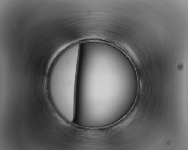 X0000103450780200809121124