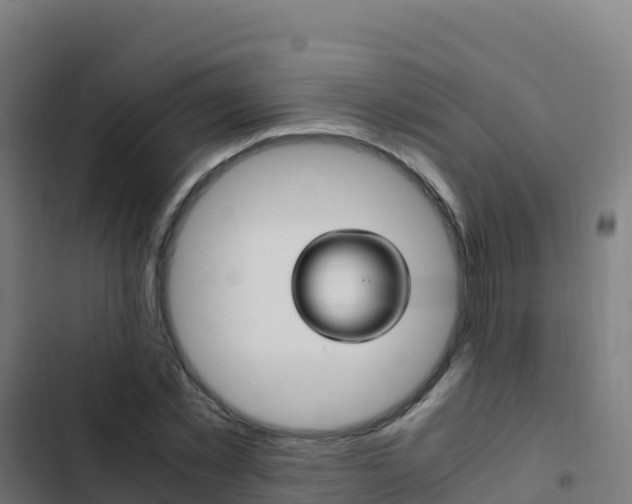 X0000103450781200809121124