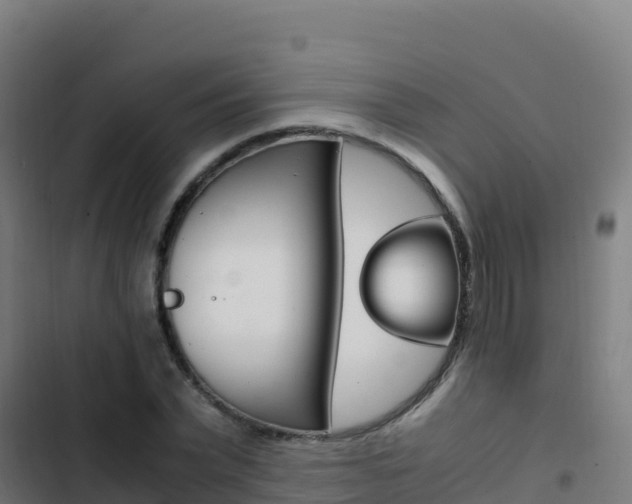 X0000103450783200809121124