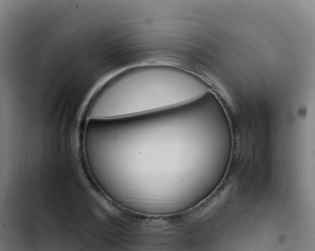 X0000103450784200809121124