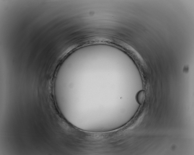 X0000103450785200809121124
