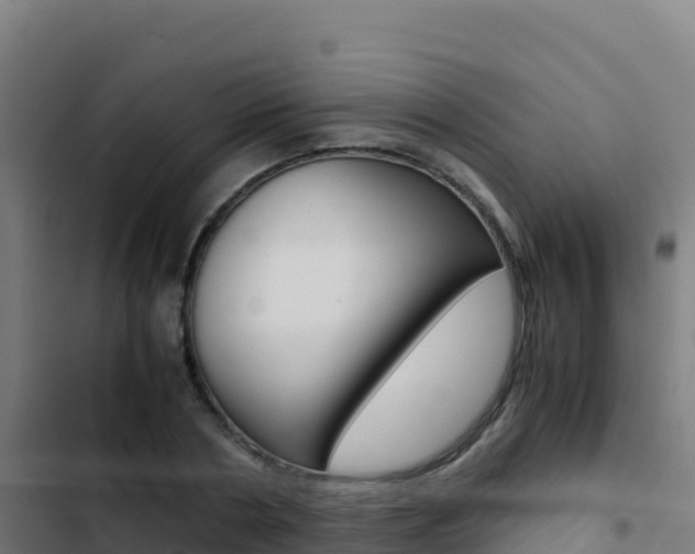 X0000103450786200809121124