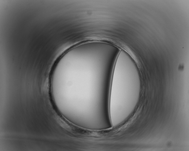 X0000103450787200809121124