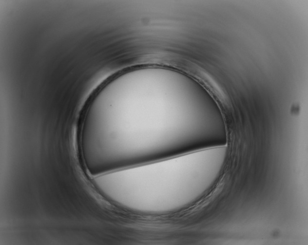 X0000103450788200809121124