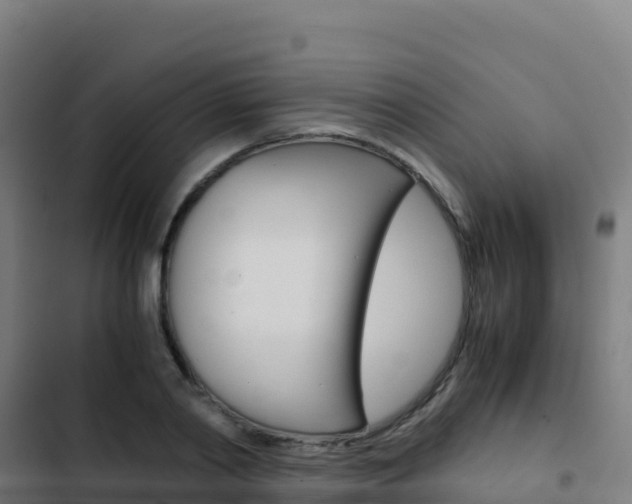 X0000103450790200809121124