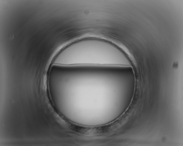 X0000103450791200809121124