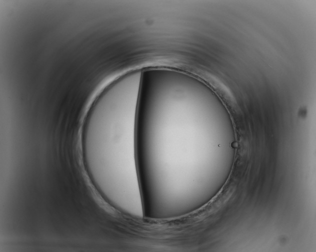 X0000103450792200809121124