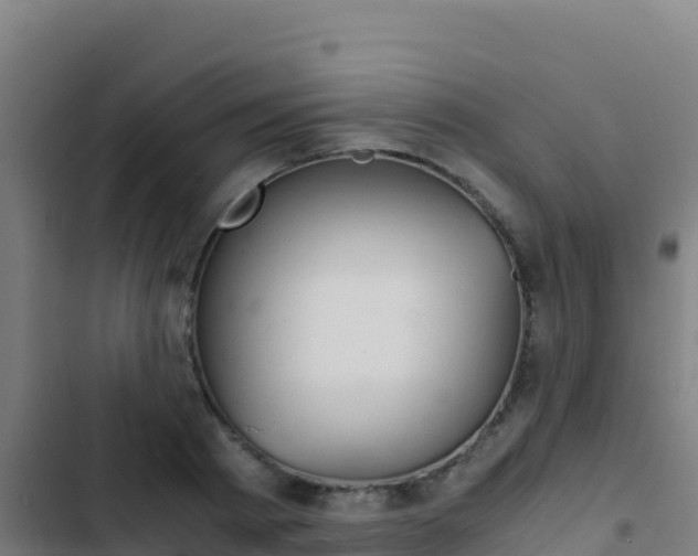 X0000103450793200809121124