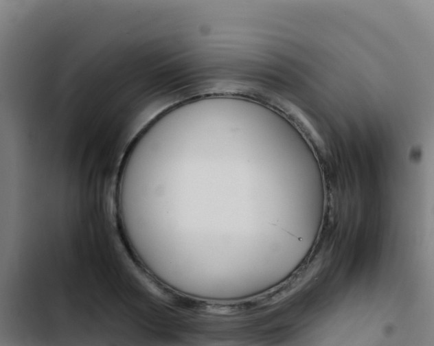 X0000103450794200809121124