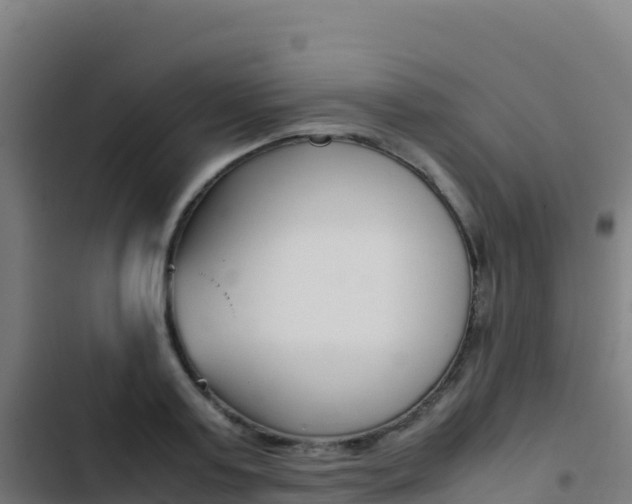X0000103450795200809121124