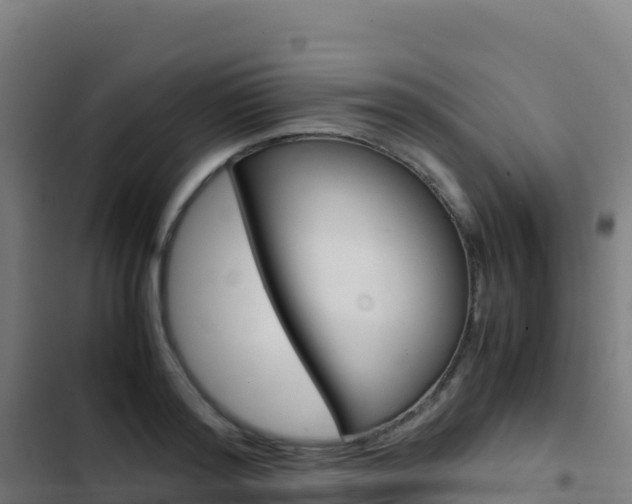 X0000103450796200809121124