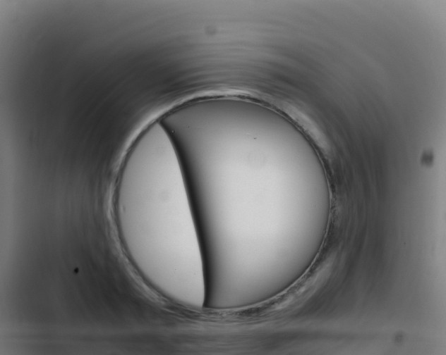 X0000103450797200809121124