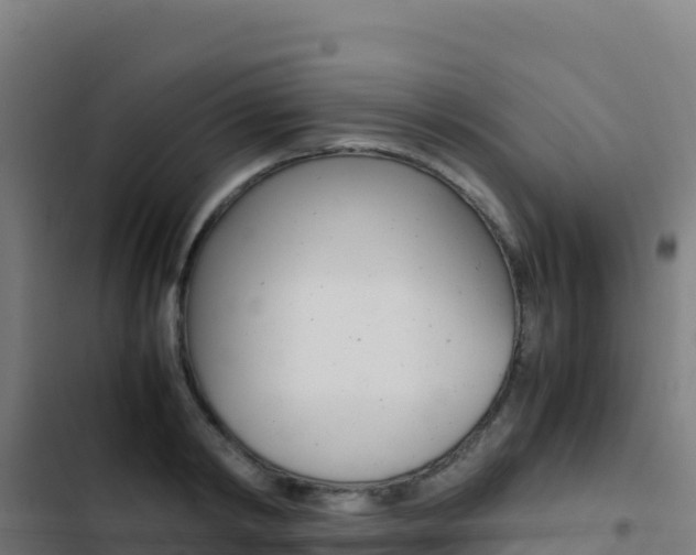 X0000103450798200809121124